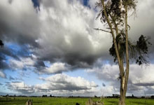 欧博ABG：[亚冬会]短道速滑女子3000米接力颁奖仪式.