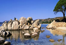 欧博ABG：[CBA]拒绝逆转 广东主场胜天津.